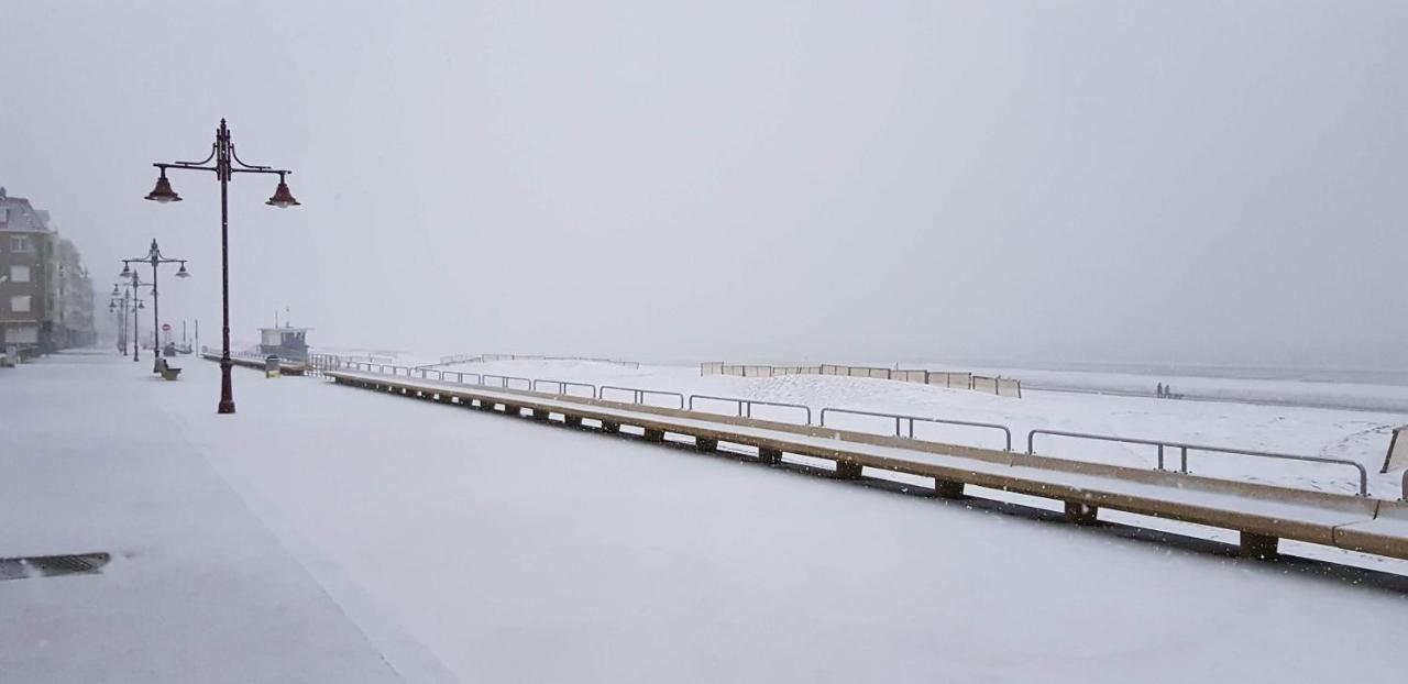 Duinenhuis Zeepolder 28 เดอฮาน ภายนอก รูปภาพ