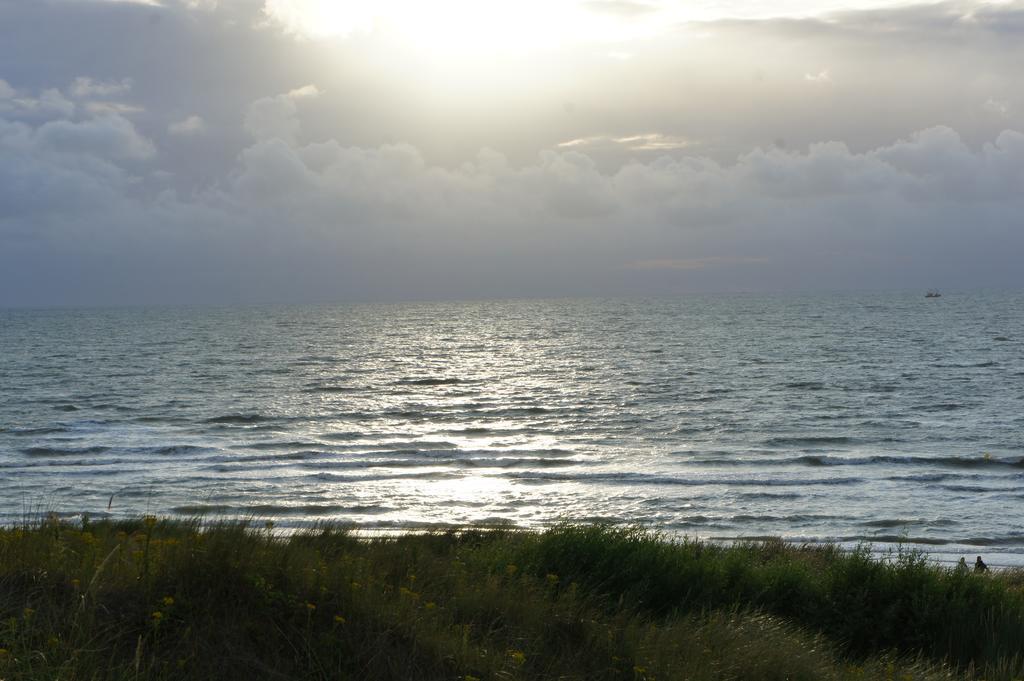 Duinenhuis Zeepolder 28 เดอฮาน ห้อง รูปภาพ